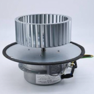 X300 Motor